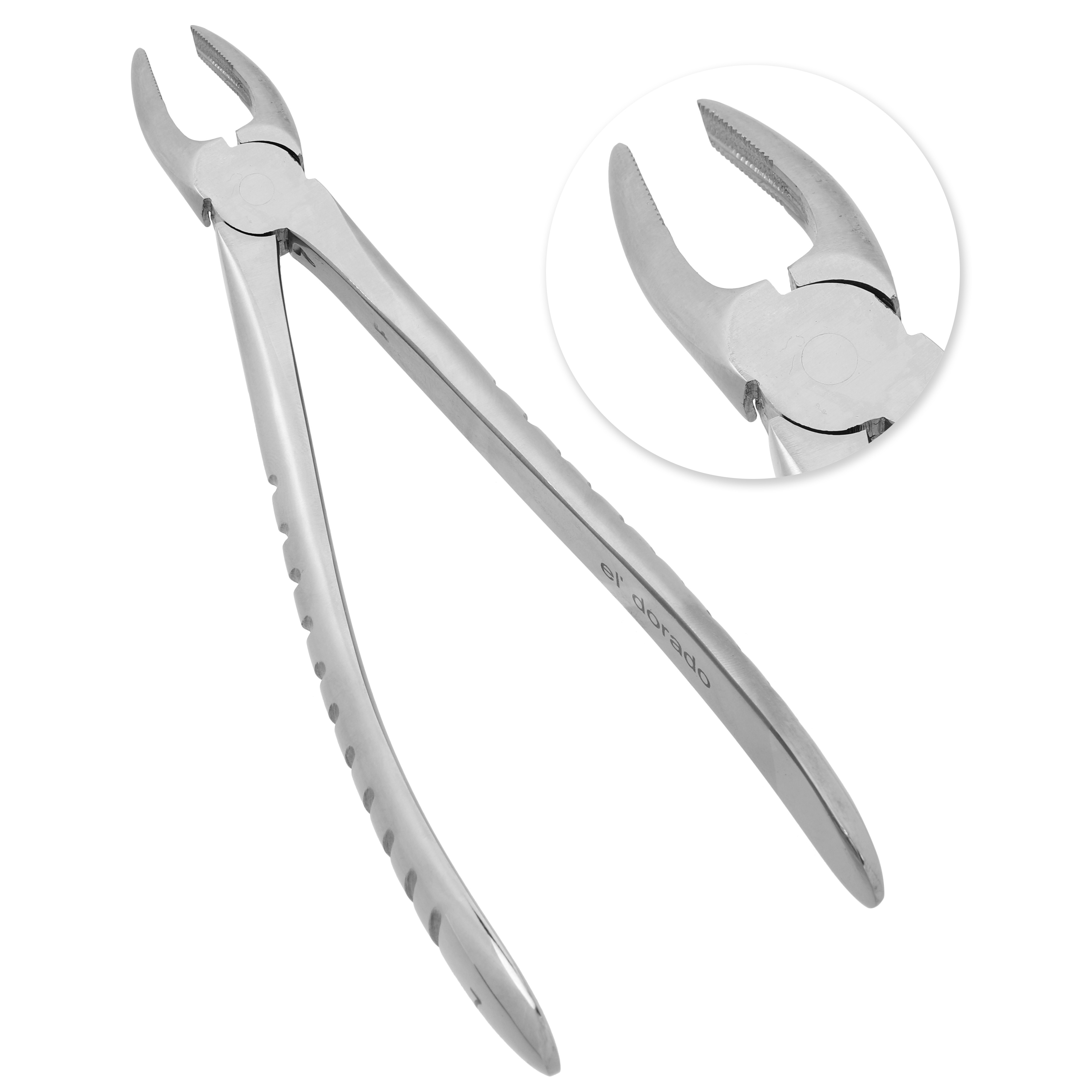 EXTRACTING-FORCEP-NO-7(ENG-PATTERN)-(PRE).jpg