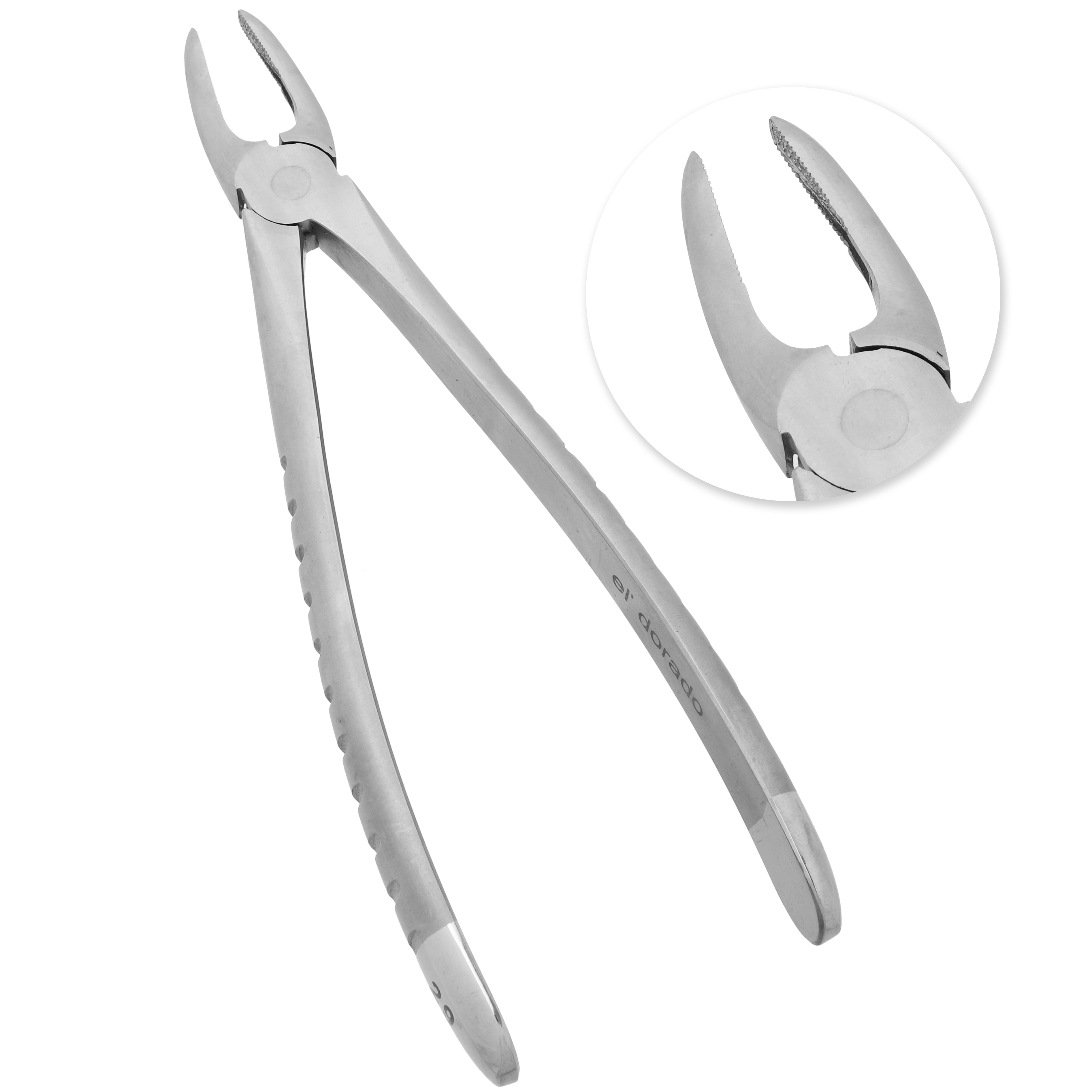 EXTRACTING-FORCEPS-NO-29(ENG-PATTERN)(PRE).jpg