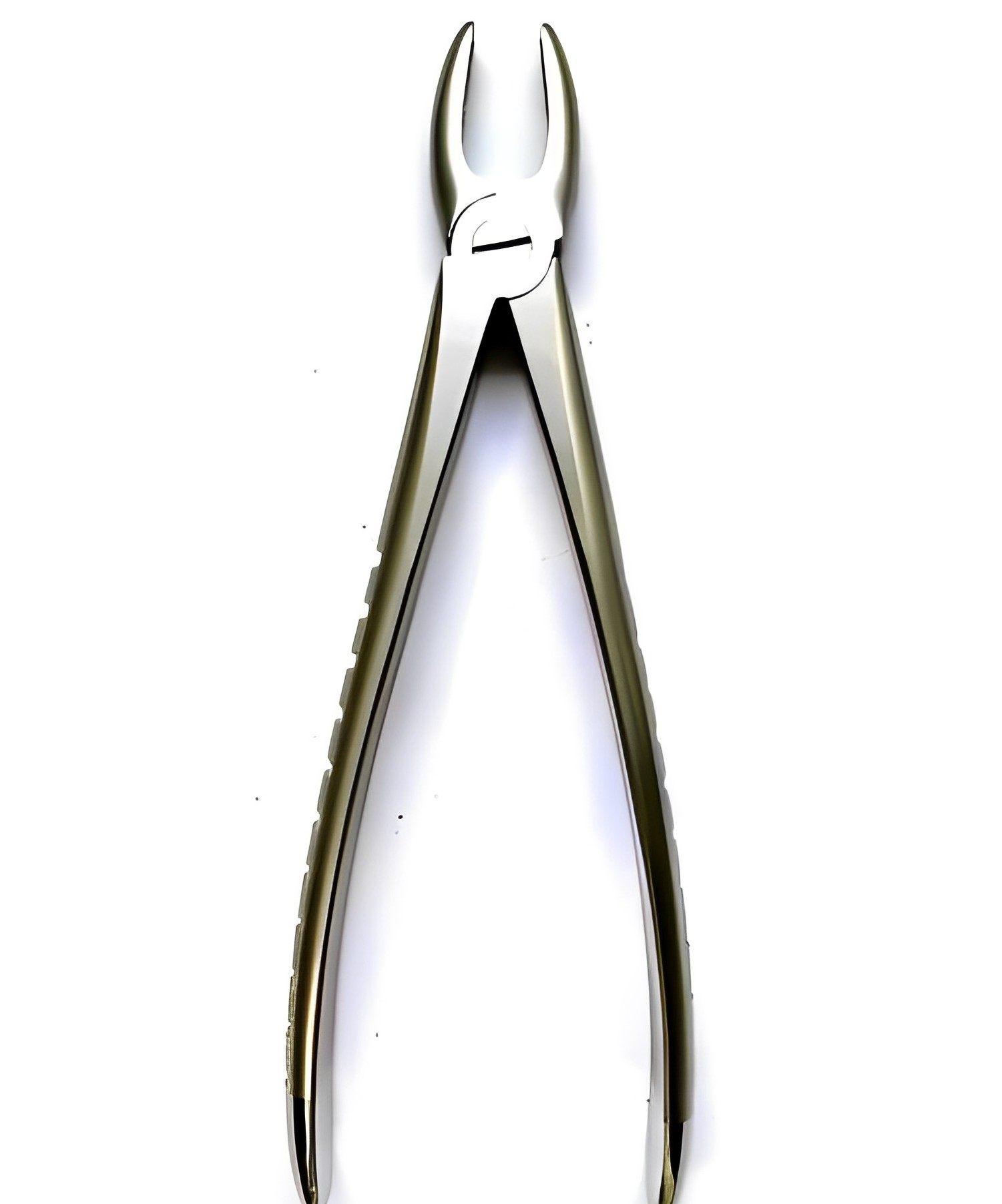 EXTRACTING-forcep-no-1(eng-pattern)(pre).jpg