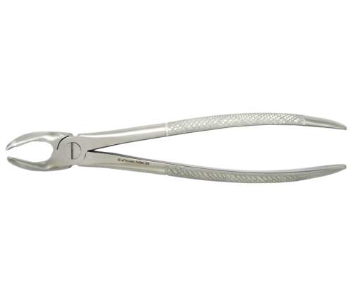 forcep_adult_21.png